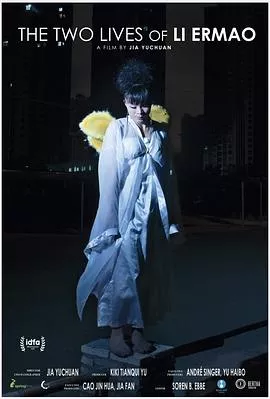二毛海报