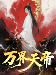 万界天帝海报