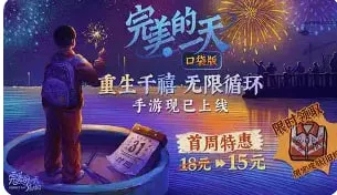 完美的一天海报