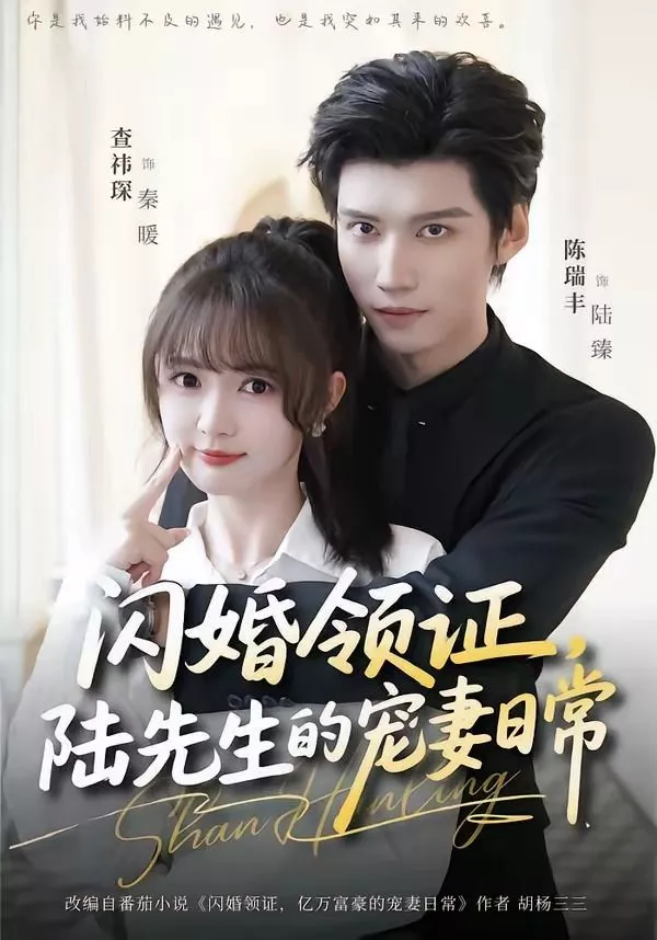 闪婚领证，陆先生的宠妻日常海报