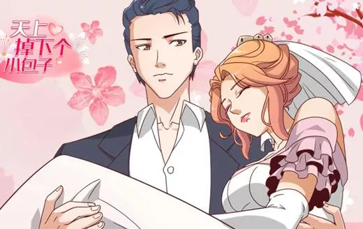 天上掉下个小包子动态漫画海报