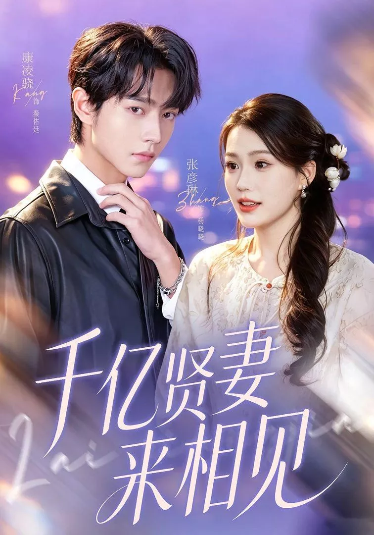 千亿贤妻来相见（钻石贤妻来相见海报
