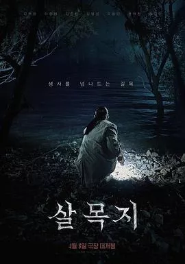 杀木地海报