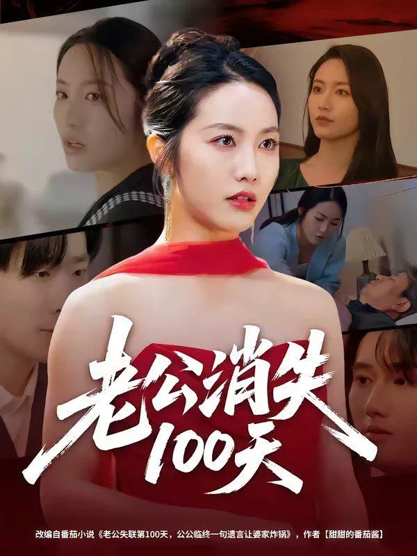 老公消失100天海报