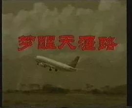 梦醒天涯路海报