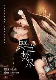 野草焚尽海报