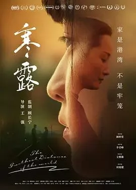 寒露海报
