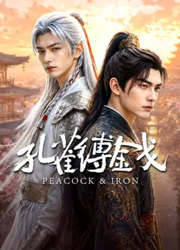 孔雀缚金戈海报