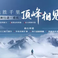 顶峰海报