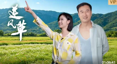 逆风草海报