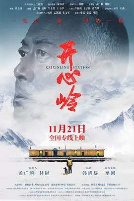开心岭海报