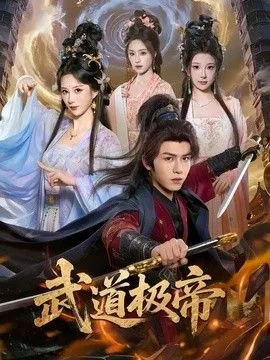 武道极帝海报