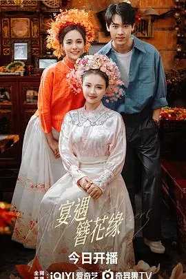 宴遇簪花缘海报