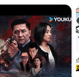 海外追逃海报