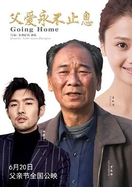 父爱永不止息海报