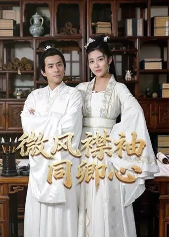 微风襟袖同卿心2026海报