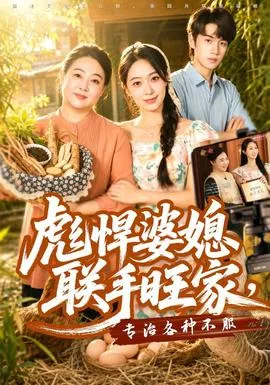 彪悍婆媳联手旺家，专治各种不服海报
