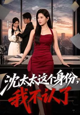 沈太太这个身份，我不认了海报