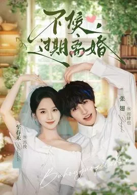 不候，过期离婚海报