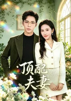 顶配夫妻海报