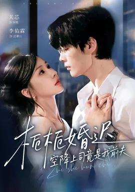 栀栀婚迟，空降上司竟是我前夫海报