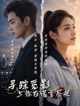 寻踪觅影与你在谎言尽头海报
