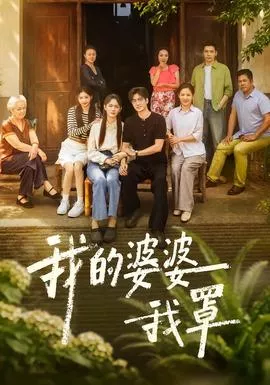 我的婆婆我罩海报