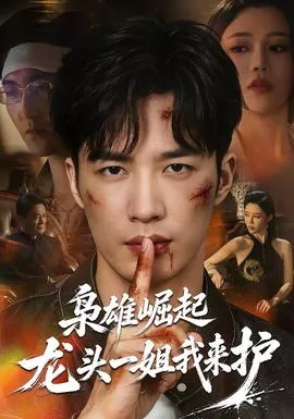枭雄崛起，龙头一姐我来护海报
