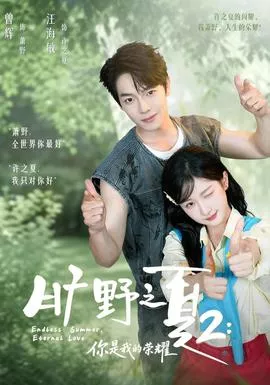 旷野之下2你是我的荣耀海报