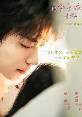 向阳予婉小青梅海报