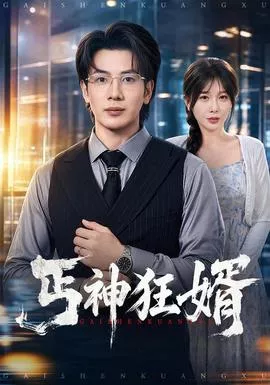丐神狂婿海报