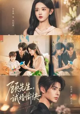 顾先生，试婚愉快海报