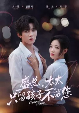 盛总，太太只留孩子不留您海报