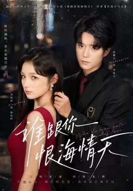 谁跟你恨海情天海报