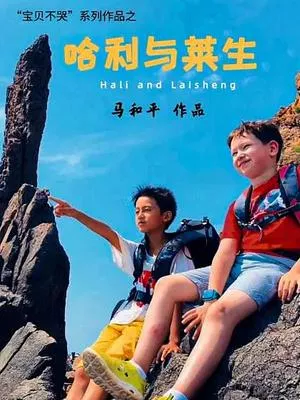 哈利与莱生海报