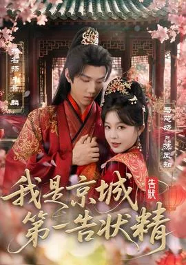我是京城第一告状精海报