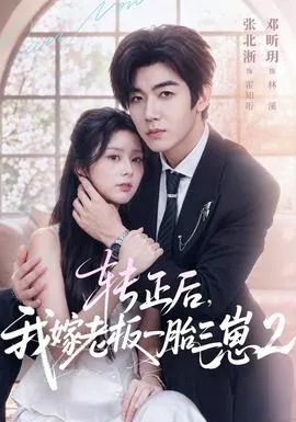 转正后，我嫁老板一胎三崽第2部海报