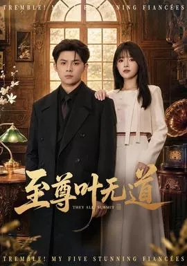 至尊叶无道海报