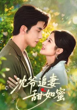 沈爷追妻甜如蜜海报