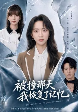 被撞那天我恢复了记忆海报