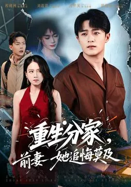 重生分家，前妻她追悔莫及海报