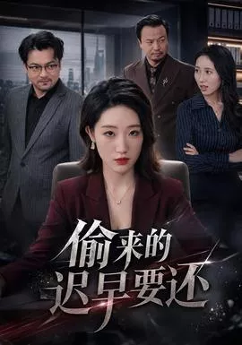 偷来的迟早要还海报