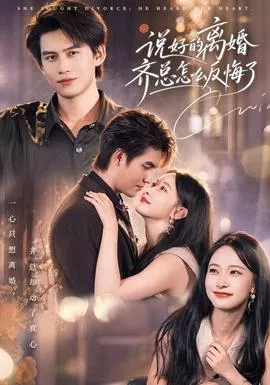 说好的离婚齐总怎么反悔了海报