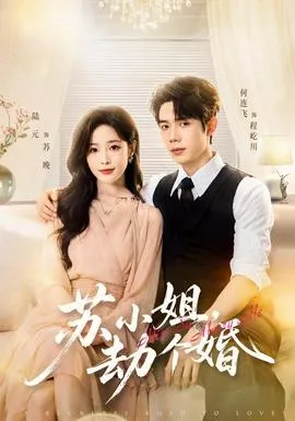 苏小姐，劫个婚海报