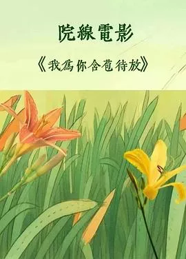 我为你含苞待放海报