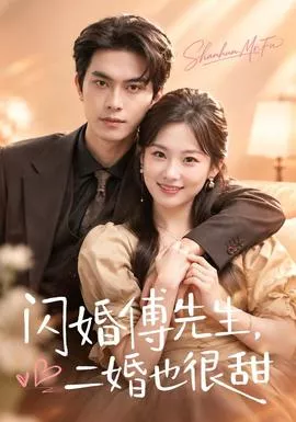 闪婚傅先生，二婚也很甜海报