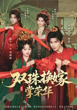 双珠换嫁掌荣华海报