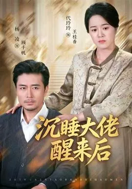 沉睡大佬醒来后海报
