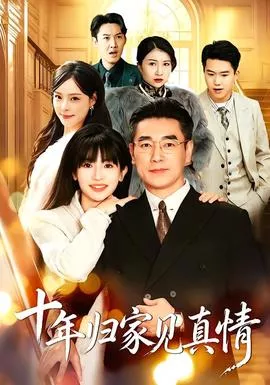 十年归家见真情海报