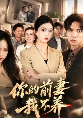 你的前妻我不养海报